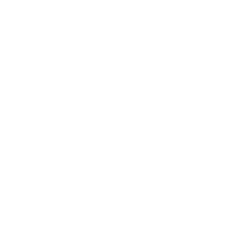 MaxOzone | Ozon Ürünleri