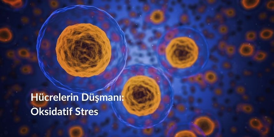 Hücrelerin düşmanı oksidatif strese karşı doğal antioksidan: Ozon Jel Kapsül