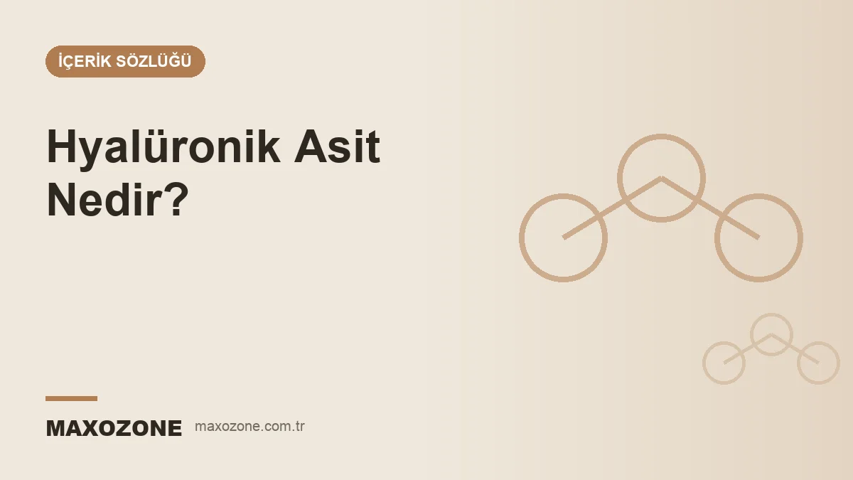 Hyalüronik Asit Nedir? kapak görseli